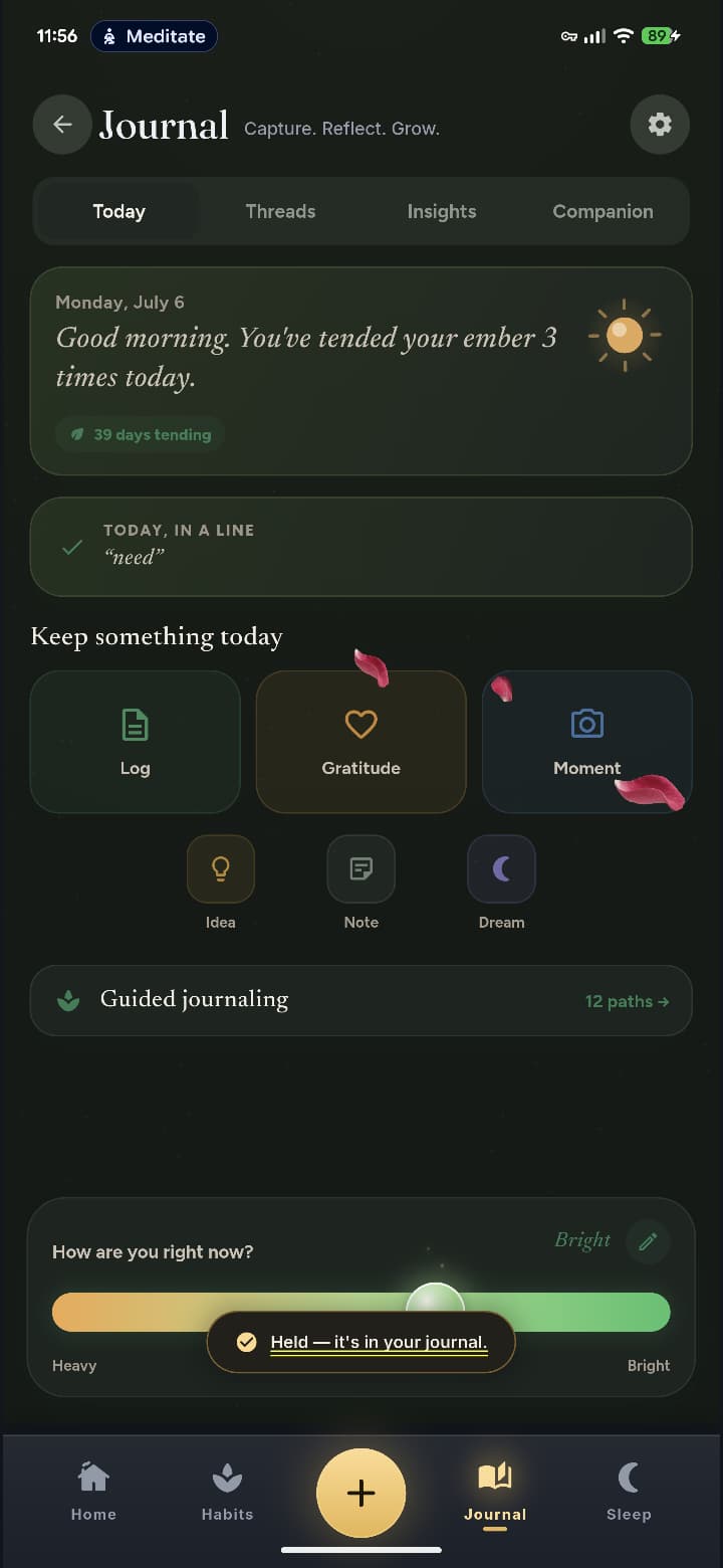 Ember journal screen — 39 days tending